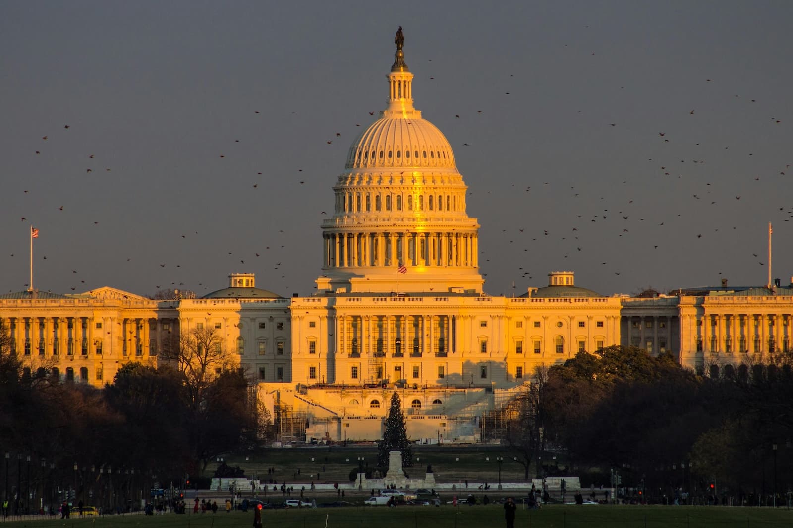 Galaxy CEO Mike Novogratz Says US CLARITY Act Could Trigger a Wave of Traditional Finance Firms Entering Crypto and Tokenized Assets