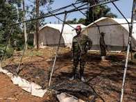 WHO Chief Calls for DRC Ceasefire to Tackle Ebola Outbreak